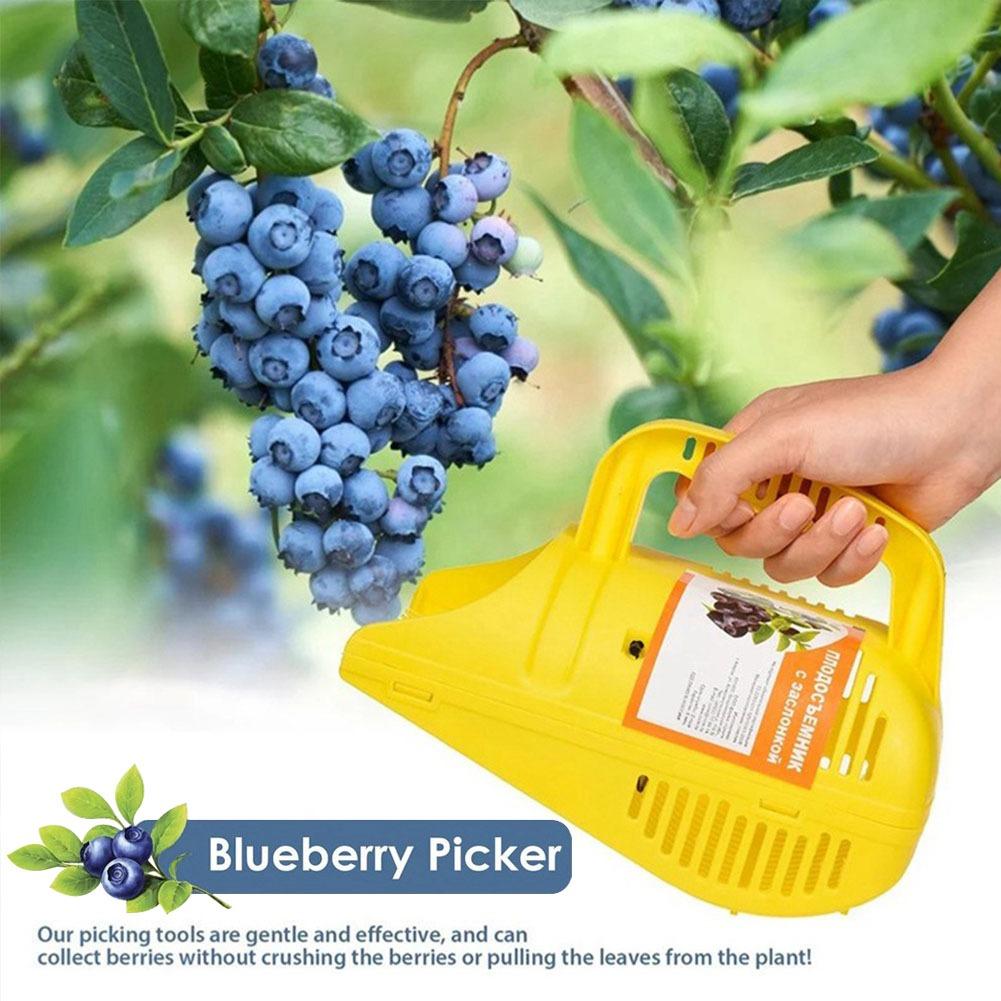 Gardening Tools You Must Have - 握りやすいブルーベリーピッカーツール、櫛歯付き、携帯用、軽量、大容量、果物収穫用ガーデンツール、必需品