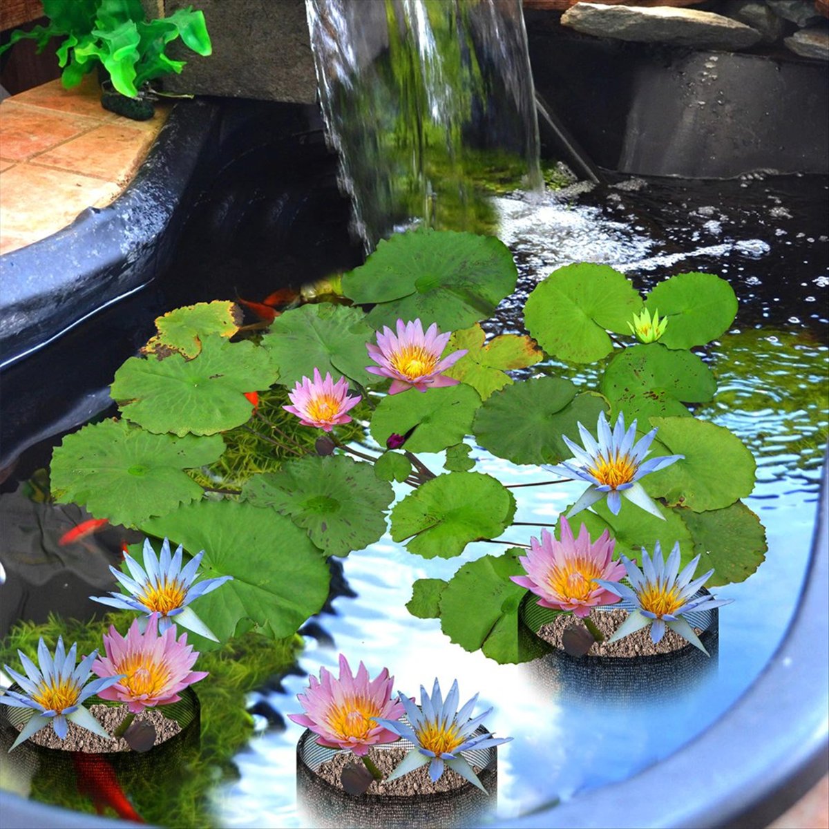 Gardening Hand Tools B&Q - BHBL 水生植物栽培バッグ 4個セット - 再利用可能なメッシュ製水生植物用ポット -