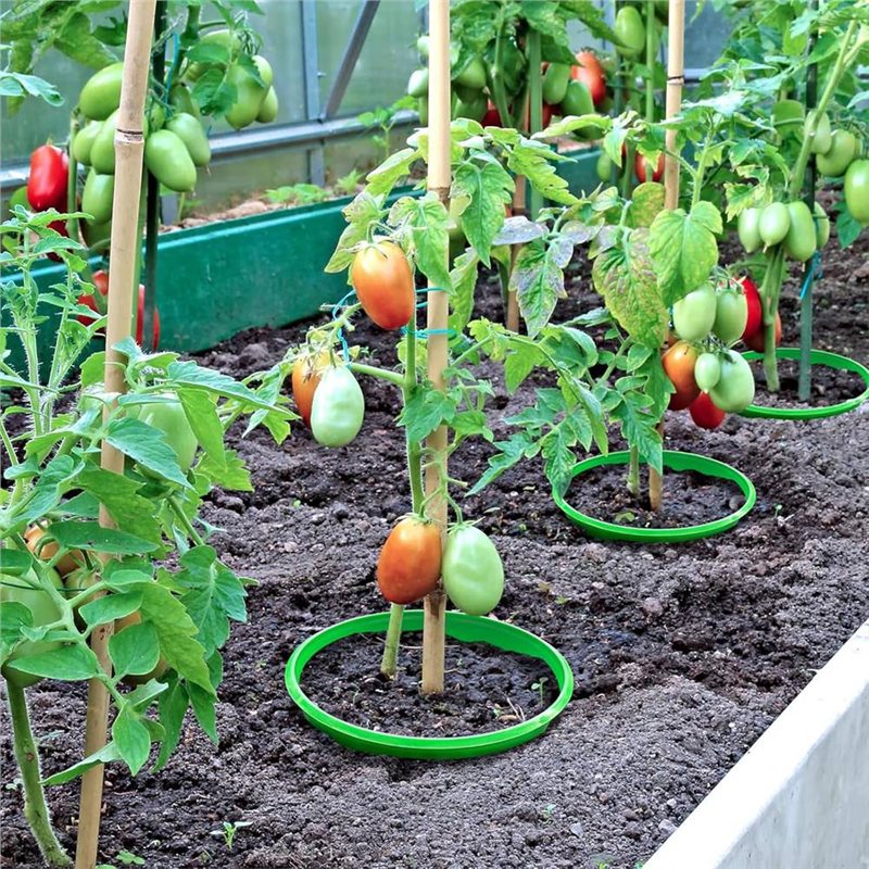 Gardening Tools For Weeds - LIKE WISH 永久植物成長リング 4個入り 植物保護リング 根の水やりと雑草ガーデン保護ツール