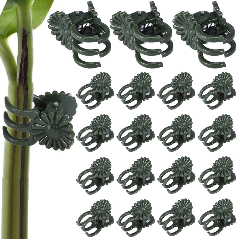 Gardening Tools Usa - 偽の植物クリップ,胸,蝶,蘭,フラワークリップ,ガーデンアクセサリー,ツール,20個,50個,100個のサポート