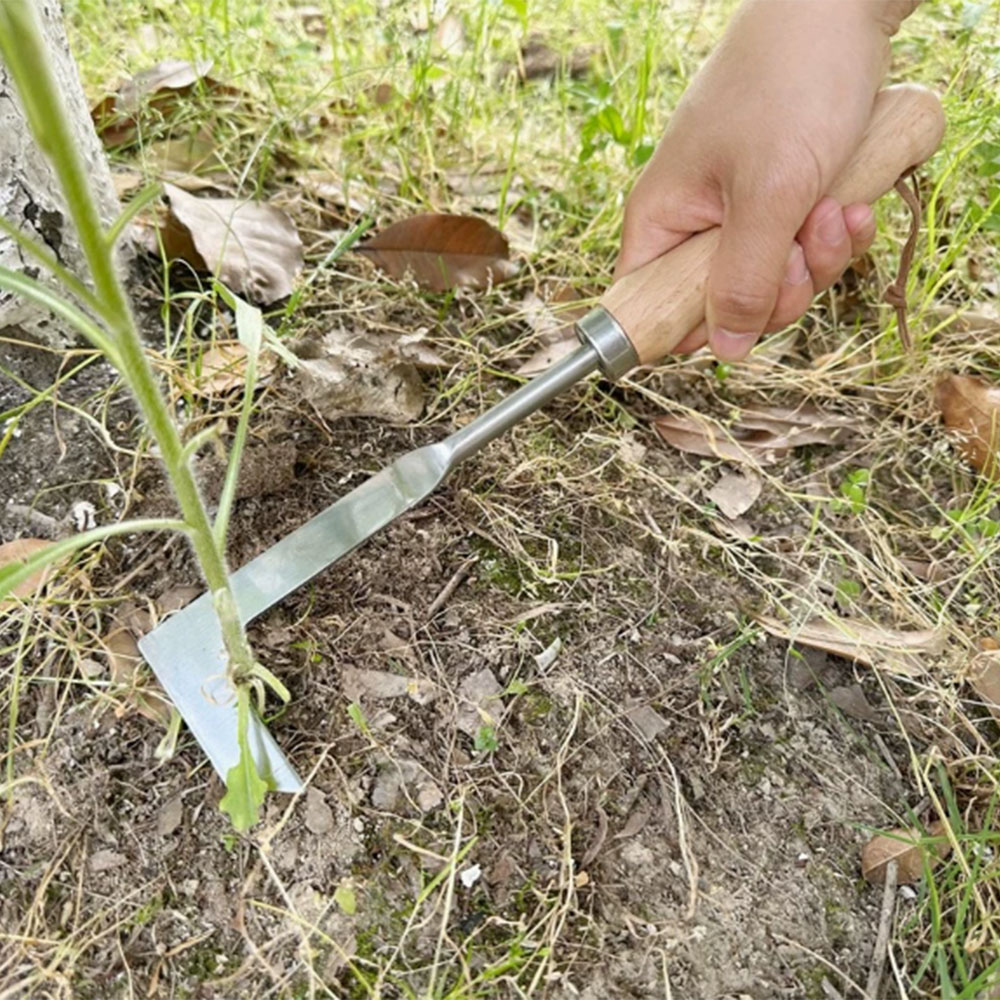 ステンレス鋼の隙間除草ツール、多機能園芸用手工具、庭、テラス - Gardening Hand Tools Yard のレビューと価格