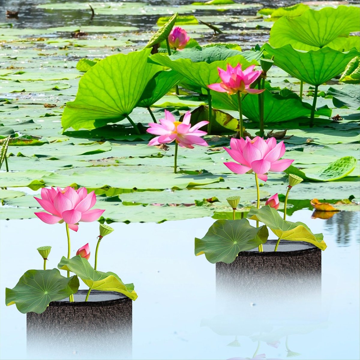 BHBL 水生植物栽培バッグ 4個セット - 再利用可能なメ - Gardening Hand Tools B&Q のレビューと価格