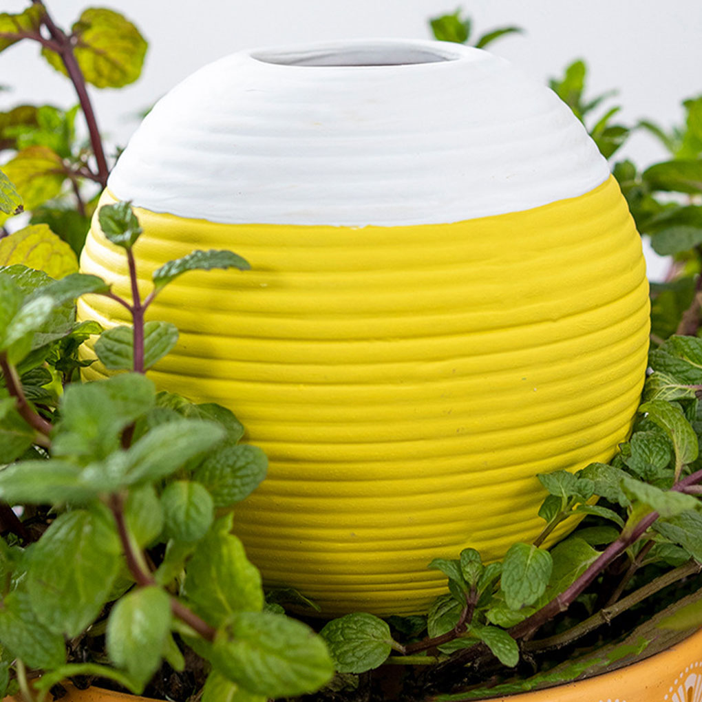 セラミック製自動植物散水ツール 庭に必須の自己散水灌漑ツール - Gardening Tools You Must Have のレビューと価格