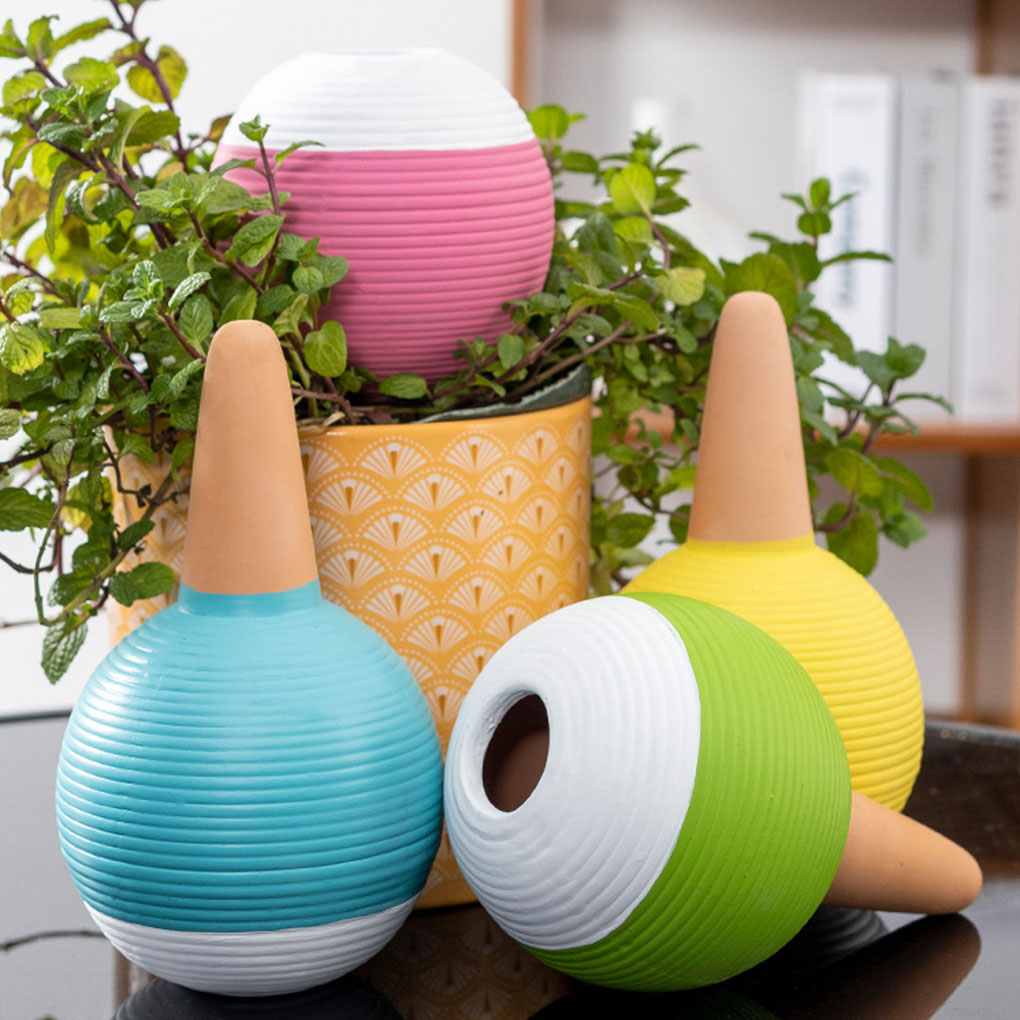 セラミック製自動植物散水ツール 庭に必須の自己散水灌漑ツール - Gardening Tools You Must Have のレビューと価格