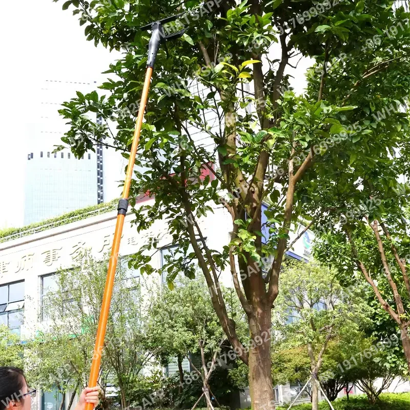庭用魔法の道具 伸縮式果実摘み取り器 最大3メートル 簡単操 - Gardening Tools You Must Have のレビューと価格