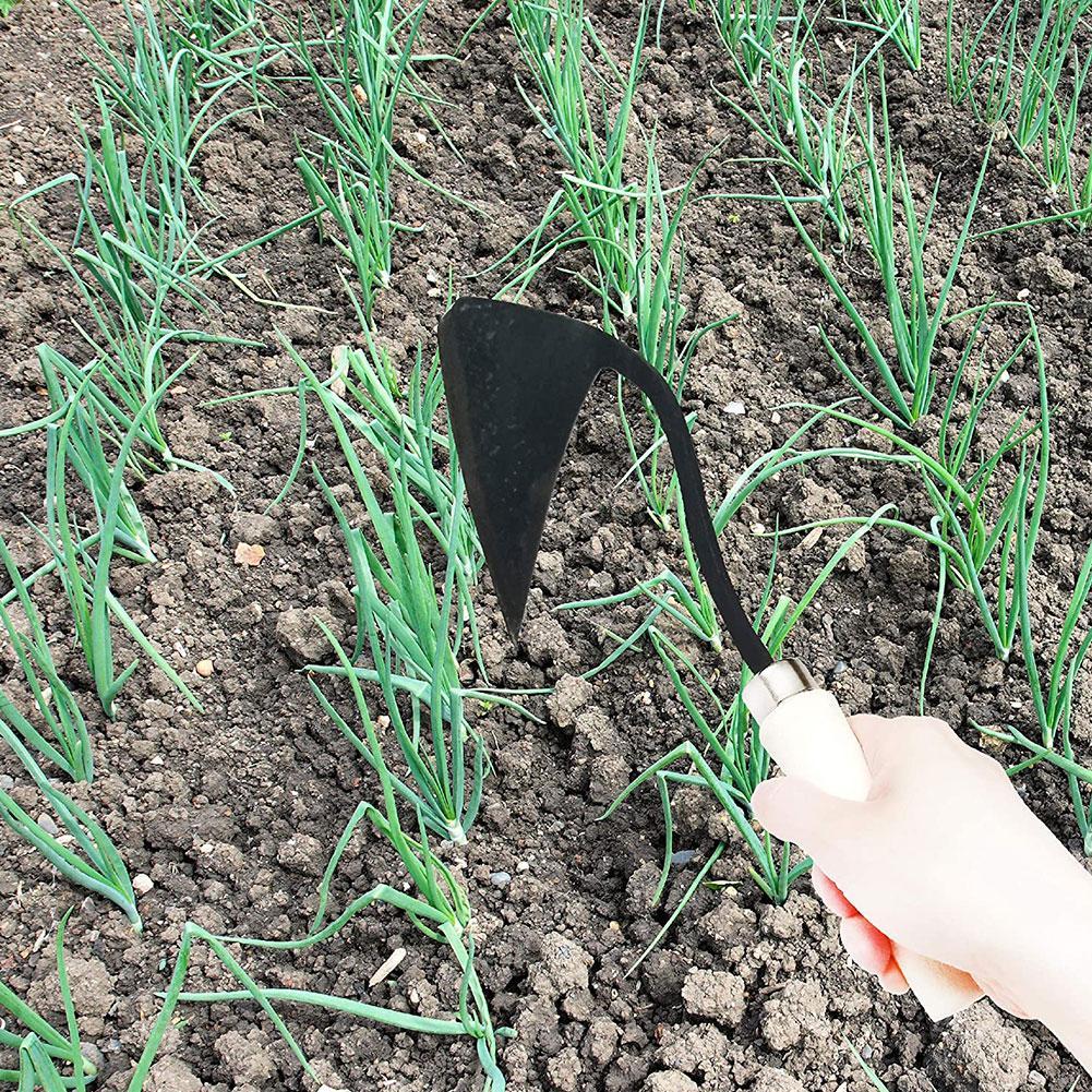 三角形の農業用鍬,農業用ツール,除草,野菜の植え付け,土壌の - Gardening Tools For Weeds のレビューと価格