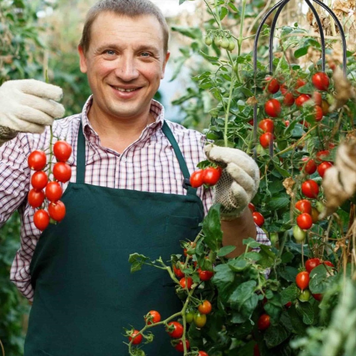 AT16 つる性植物用オベリスクトレリス、ガーデントレリス、 - Gardening Hand Tools B&Q のレビューと価格