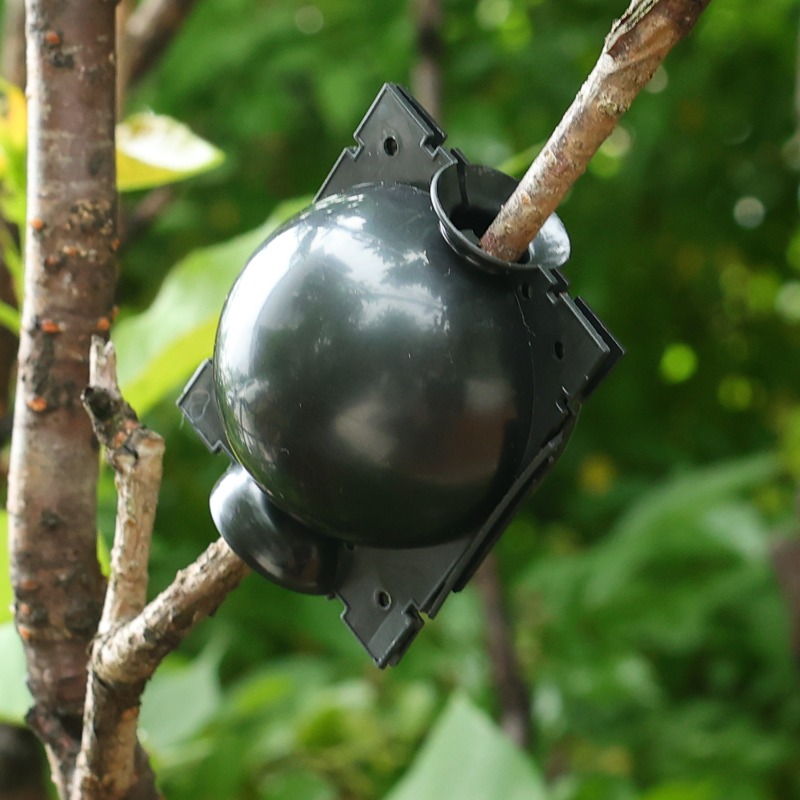 エアレイヤリングポッド植物発根ボール高圧植物根成長ボックス木 - Gardening Tools Organiser のレビューと価格