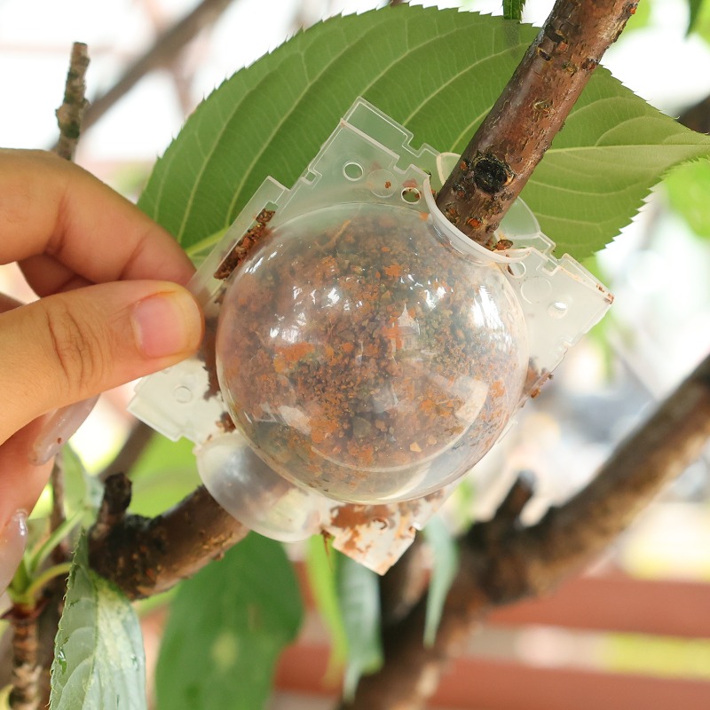 エアレイヤリングポッド植物発根ボール高圧植物根成長ボックス木 - Gardening Tools Organiser のレビューと価格